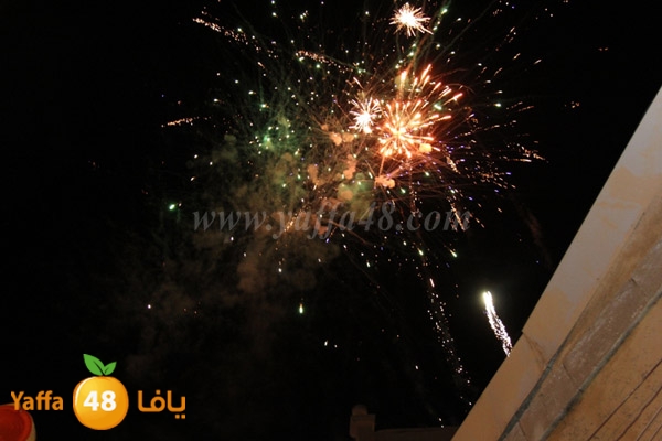 tree milad shajara (66).JPG